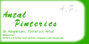 antal pinterics business card